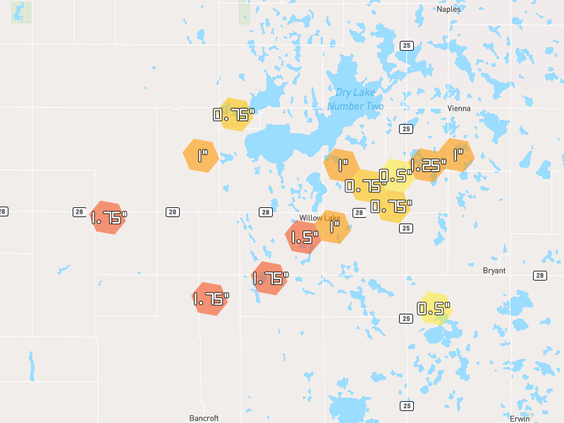 Hail map of Willow Lake, SD on Jun 4, 2026, hail up to 1.75"