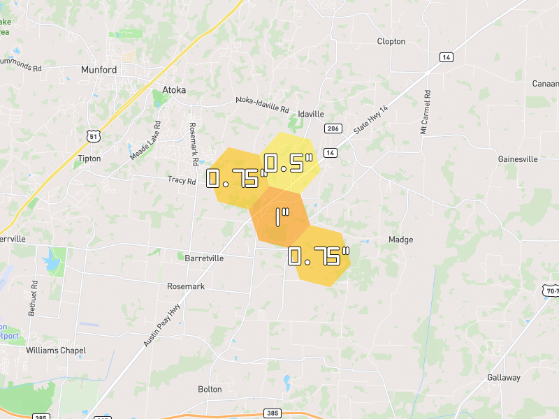 Hail map of Brighton, TN on Jul 8, 2026, hail up to 1"