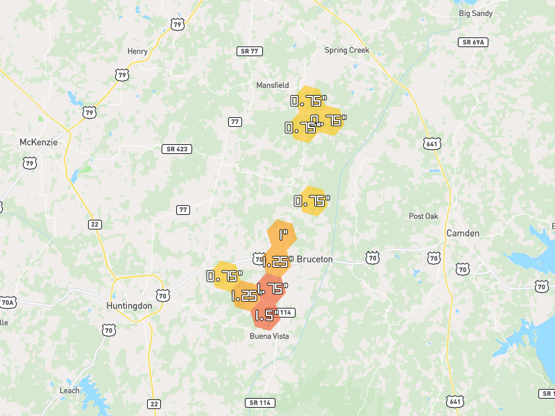Hail map of Bruceton, TN on Jul 3, 2026, hail up to 1.75"