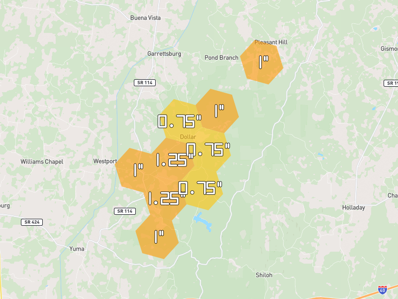 Hail map of Buena Vista, TN on Jul 5, 2026, hail up to 1.25"