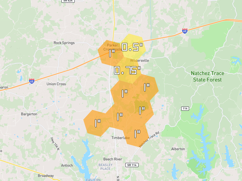 Hail map of Lexington, TN on Jul 5, 2026, hail up to 1"