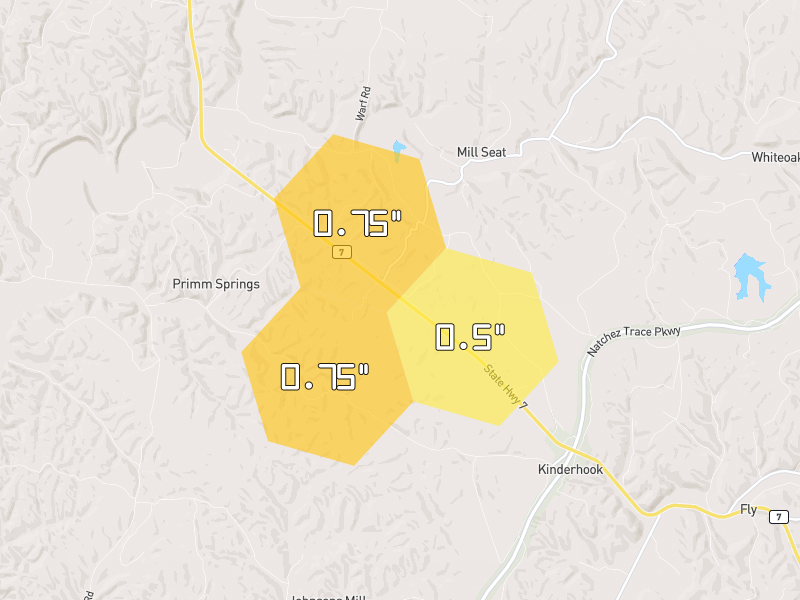Hail map of Primm Springs, TN on Jul 5, 2026, hail up to 0.75"