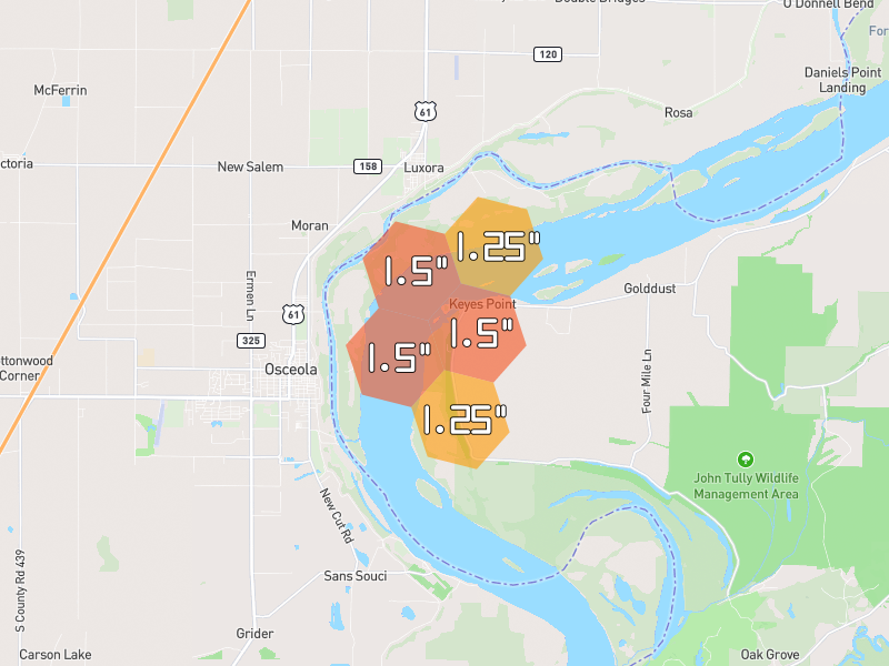 Hail map of Ripley, TN on Jul 4, 2026, hail up to 1.5"