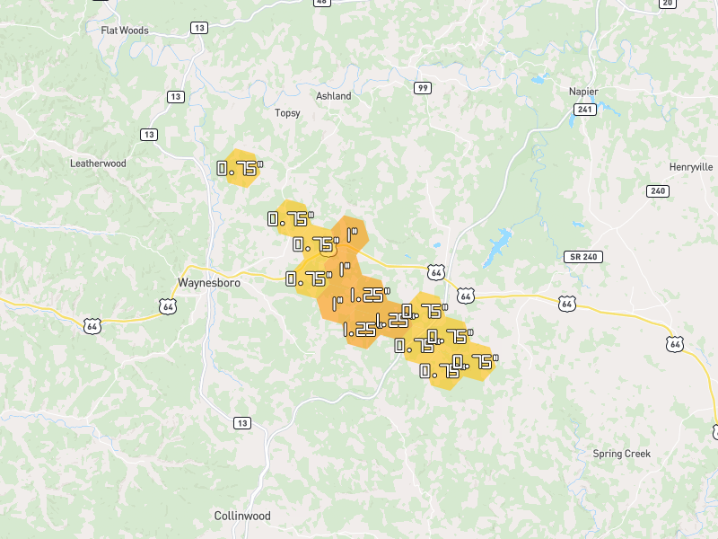 Hail map of Waynesboro, TN on Jul 1, 2026, hail up to 1.25"
