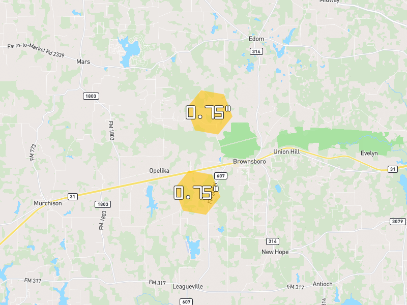 Hail map of Brownsboro, TX on Jun 2, 2026, hail up to 0.75"