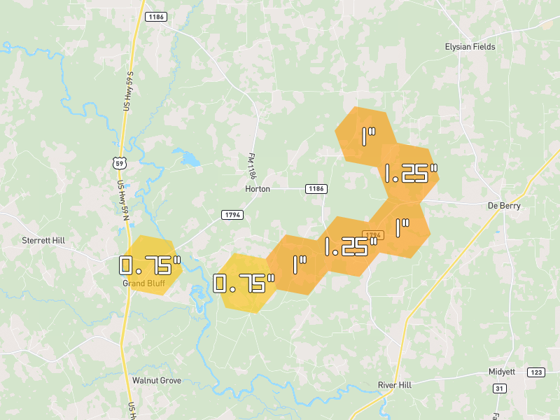Hail map of De Berry, TX on Jun 2, 2026, hail up to 1.25"