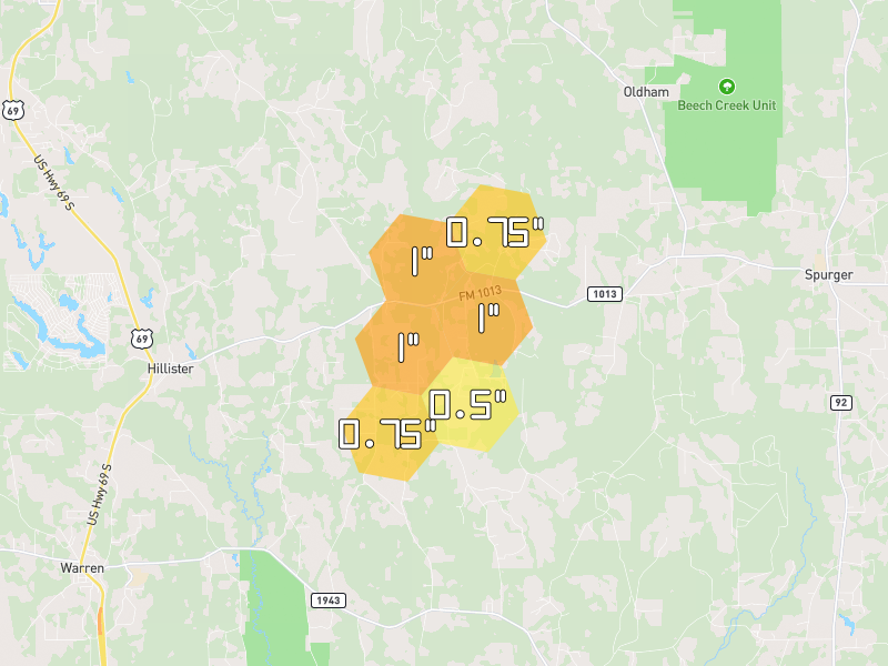 Hail map of Hillister, TX on Jul 5, 2026, hail up to 1"