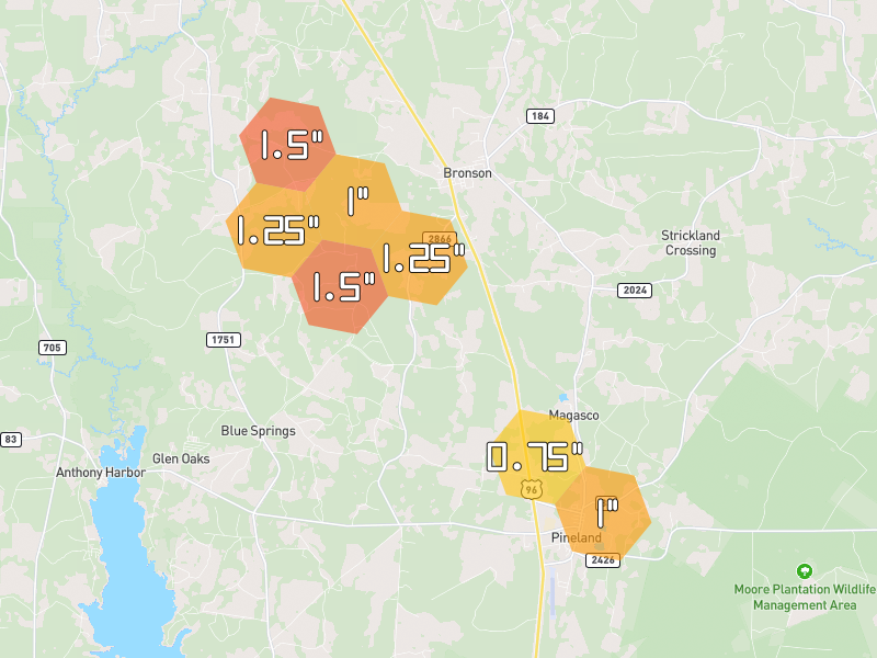 Hail map of Pineland, TX on Jul 7, 2026, hail up to 1.5"