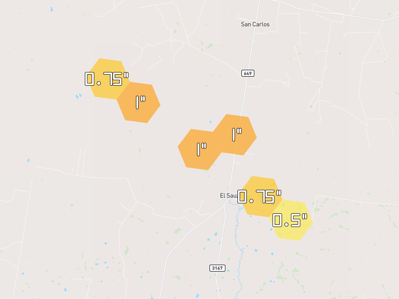 Hail map of Rio Grande City, TX on Jul 6, 2026, hail up to 1"