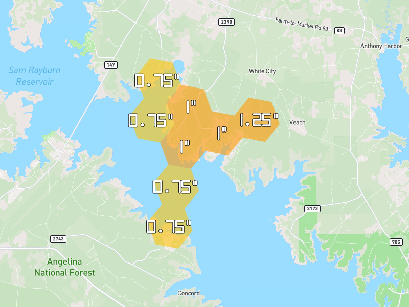 Hail map of Zavalla, TX on Jul 1, 2026, hail up to 1.25"