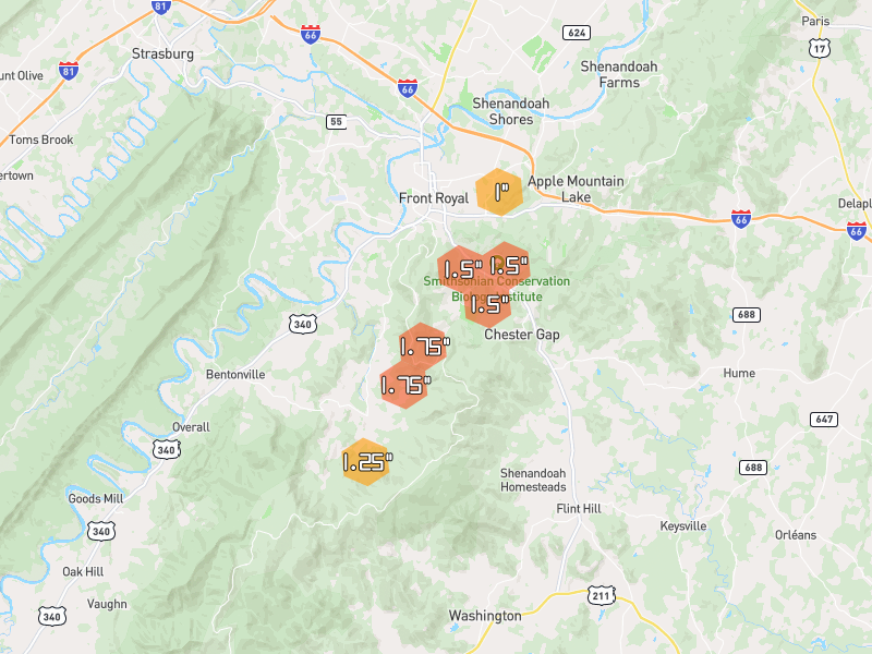 Hail map of Front Royal, VA on Jul 4, 2026, hail up to 1.75"