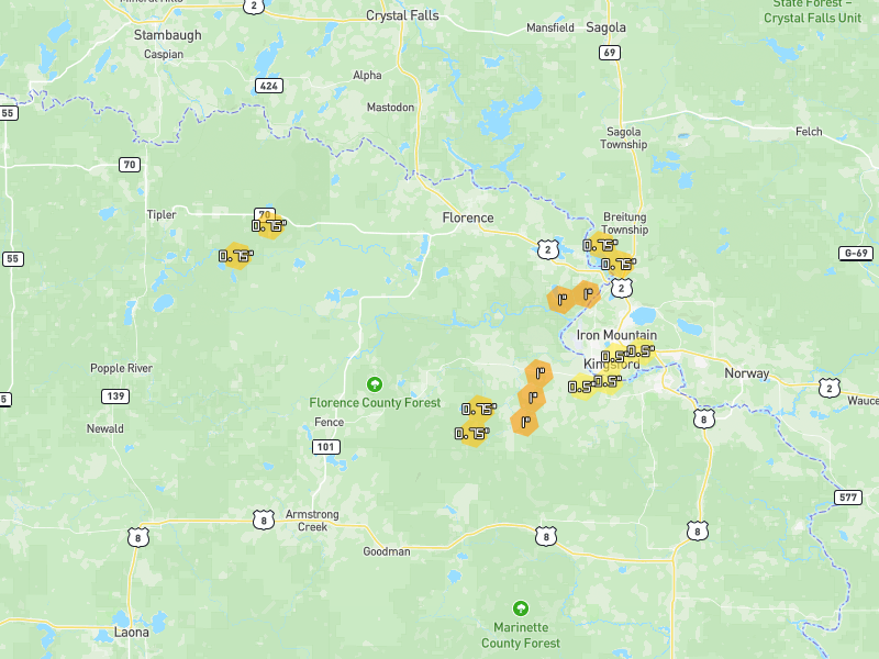 Hail map of Florence, WI on Jun 29, 2026, hail up to 1"