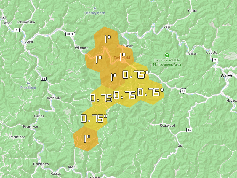 Hail map of Iaeger, WV on Jul 4, 2026, hail up to 1"