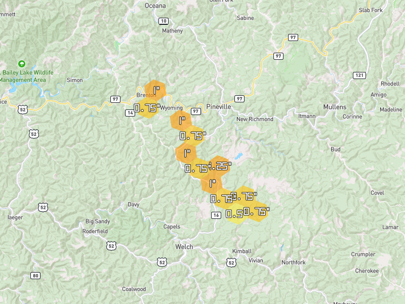 Hail map of Pineville, WV on Jul 28, 2026, hail up to 1.25"