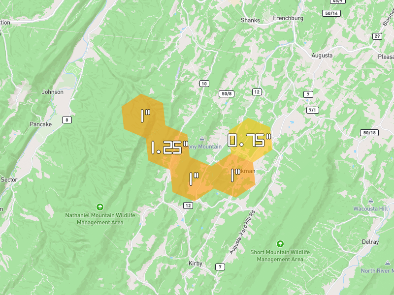 Hail map of Shanks, WV on Jul 21, 2026, hail up to 1.25"