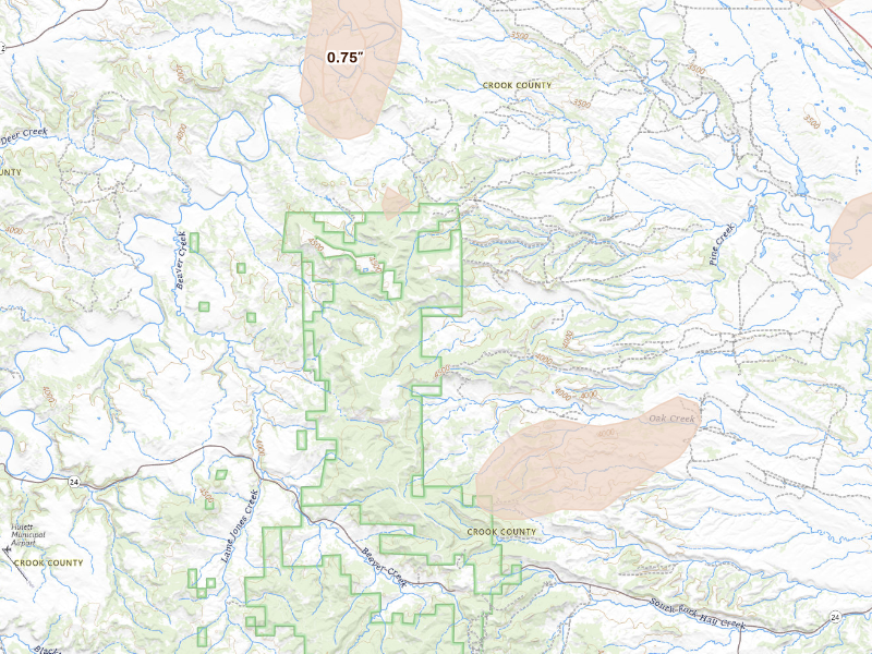 Radar-estimated hail-size map of the storm over Aladdin, WY